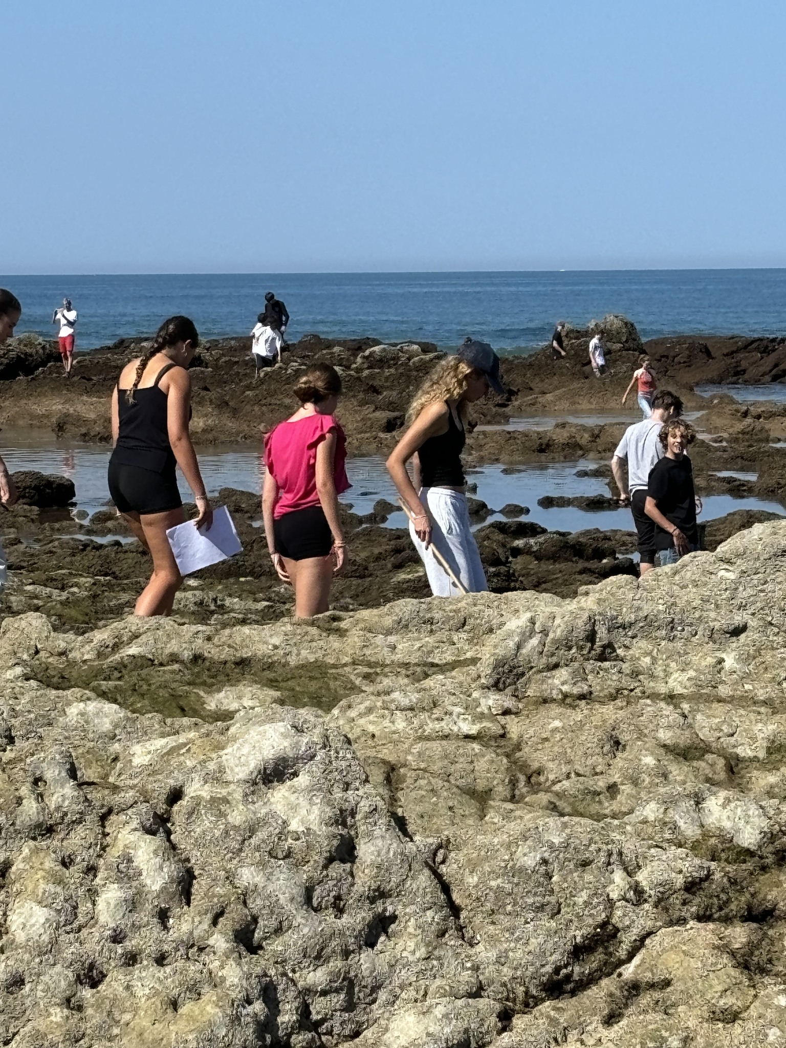 491104885_2189697114821419_6946700992539737639_n