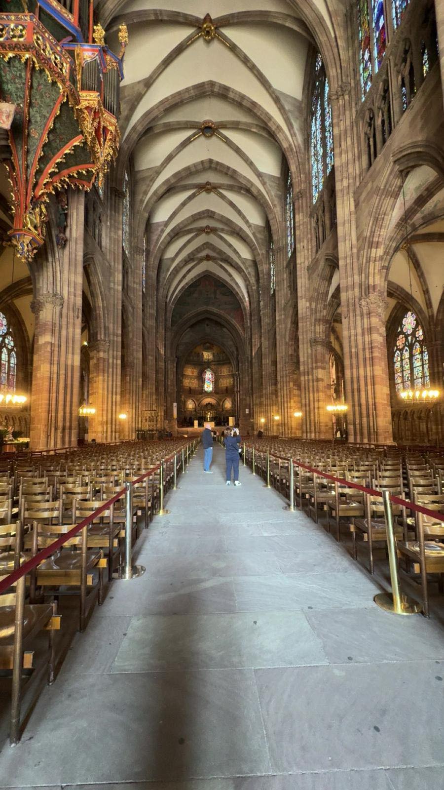 492006234_2195175054273625_4452690176502448399_n