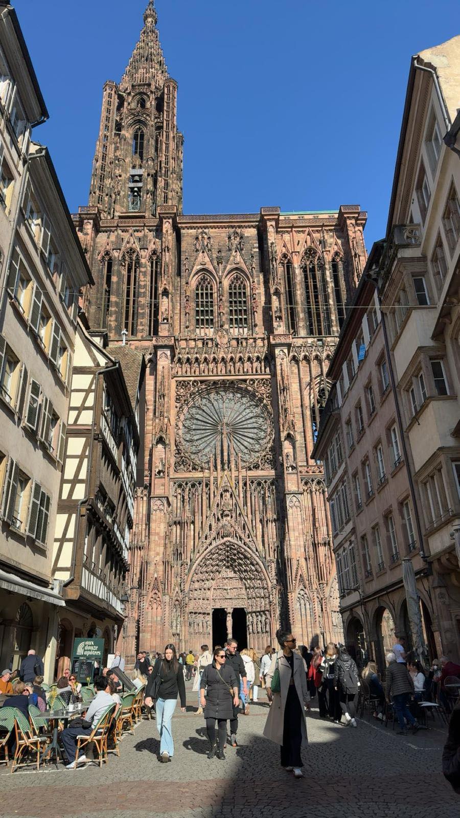 492229006_2195176314273499_1028322140399456290_n