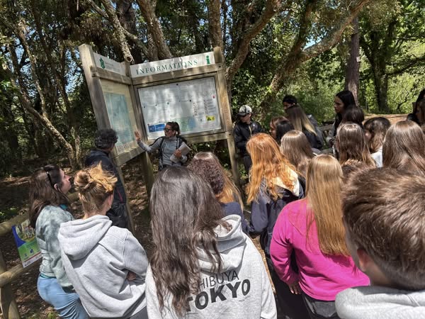 494851318_2208788506245613_7324053826713596486_n