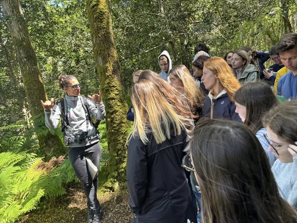 494903954_2208788479578949_4933471685336305288_n