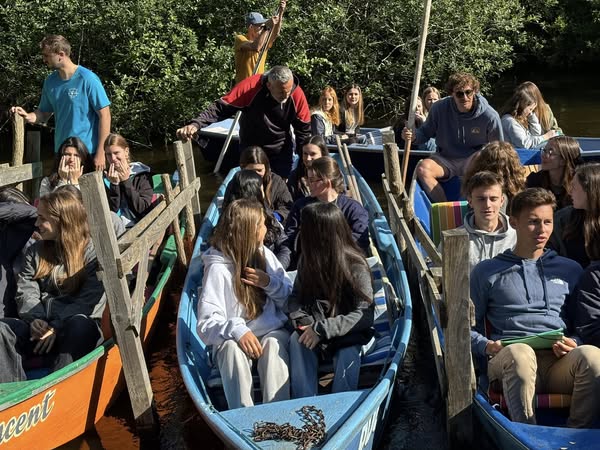 495541064_2208788516245612_1708189416509634080_n